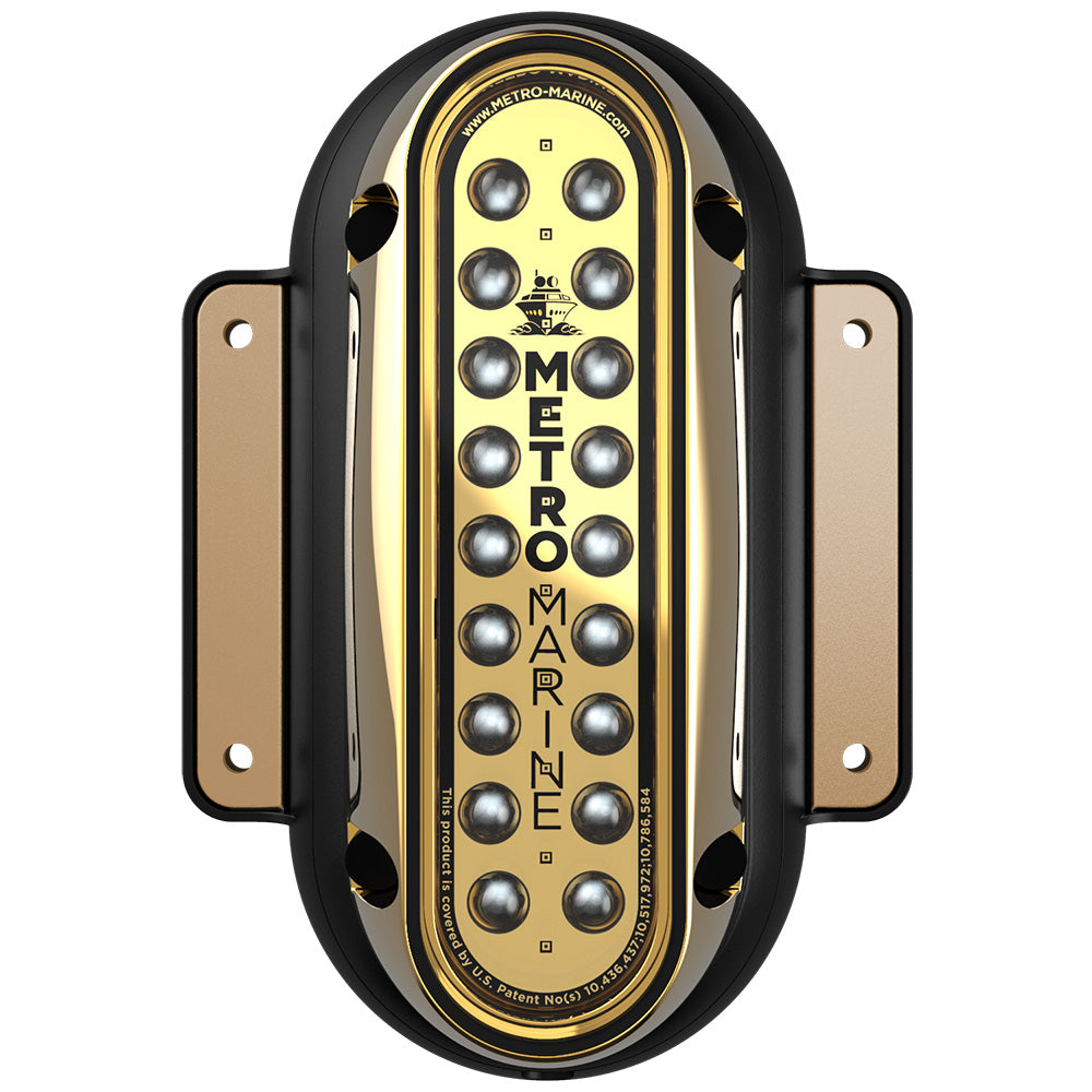 Metro Marine HighOutput Vertical Surface Mount Light wIntelligent Monochromatic LEDs Blue 45 Beam FSME1VB345