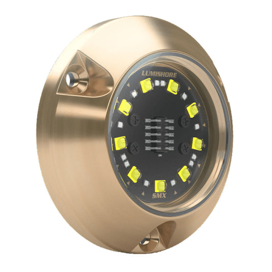 Lumishore ECLIPSE SMX24 Single Light Surface Mount Underwater Light BlueWhite 0100450400