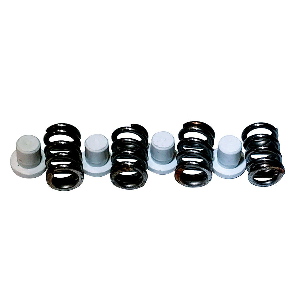 Maxwell PlungerSpring Kit 22004500 P101550