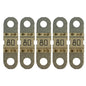 Victron MIDIFuse 80A58V M6 for 48V Pack of 5 CIP134080020