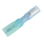 Pacer 1614 AWG Heat Shrink Female Bullet Terminal  100 Pack TBRE14156100
