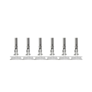 Pacer DTP Deutsch Socket f/10 AWG Wire - Size 12 Contact (10 Pack)