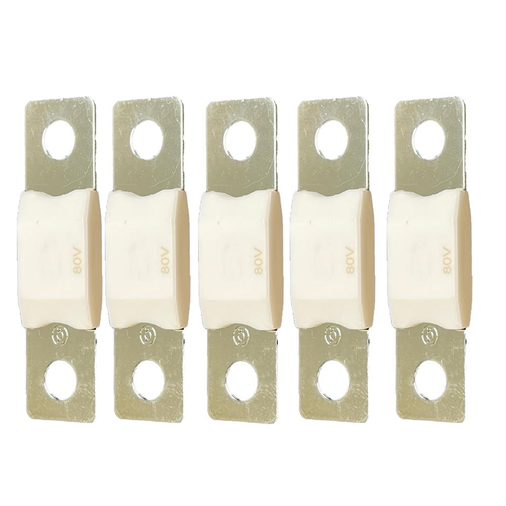 Victron MEGA Fuse 100A/80V (Package of 5 Pieces)